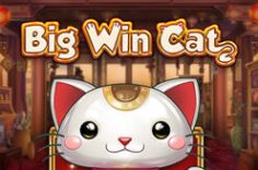 Играть в Big Win Cat