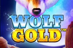 Играть в Wolf Gold